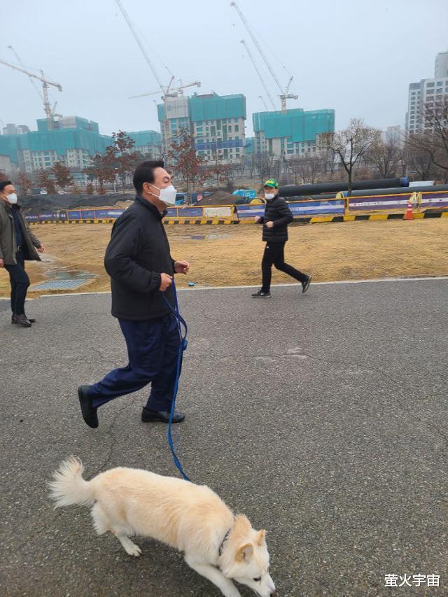 尹锡悦悠闲遛狗公园，展现真实一面