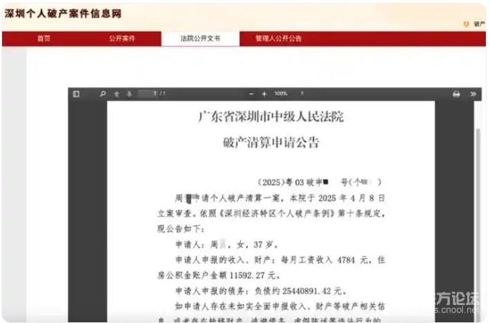 女子月入4700元负债竟高达2544万，深度解读背后的故事与挑战