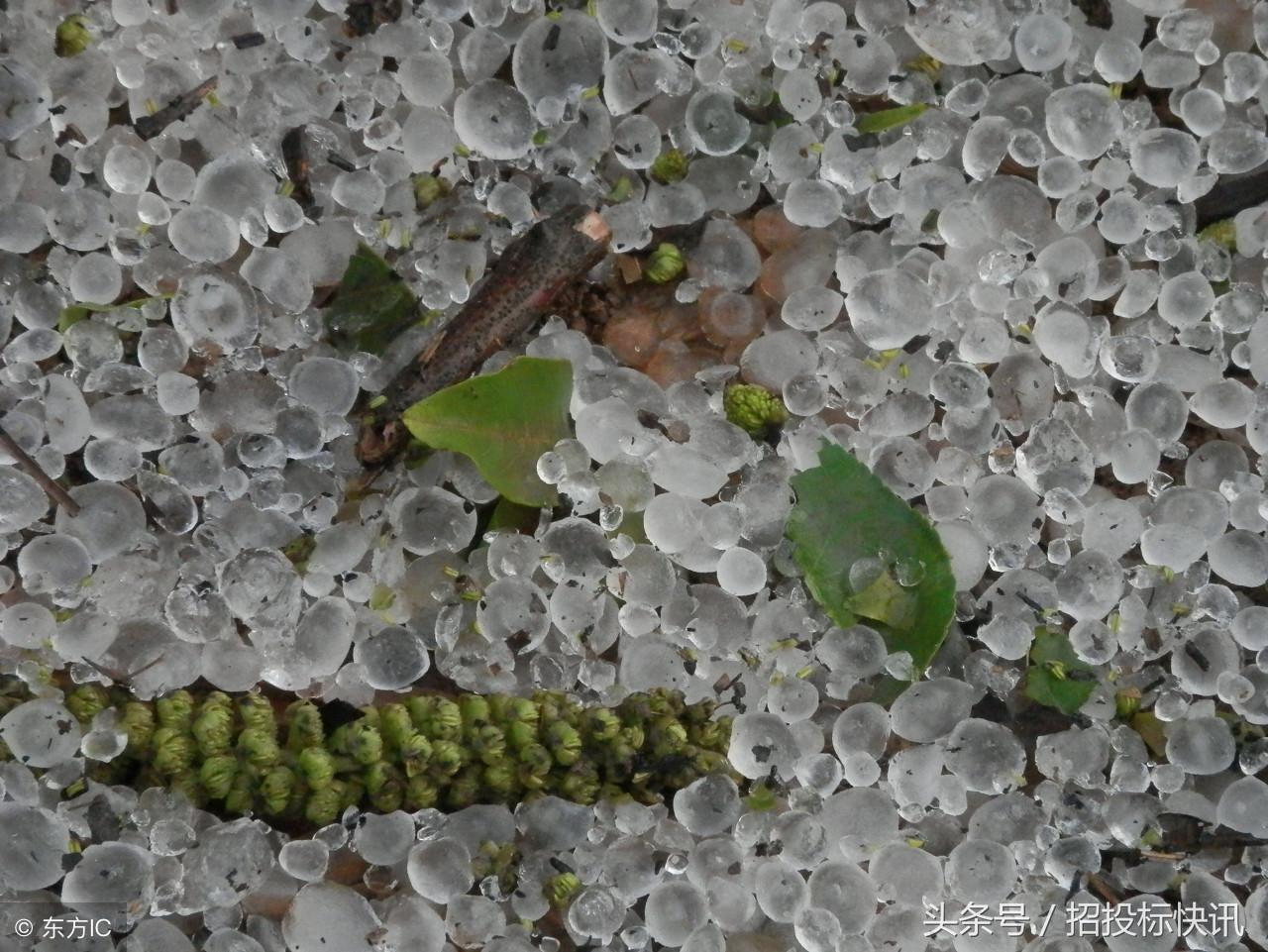 这次大雨的致灾性，深度分析与应对建议
