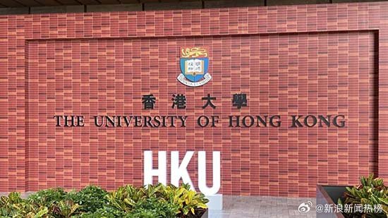 伪造学历读港大获刑，警示与反思