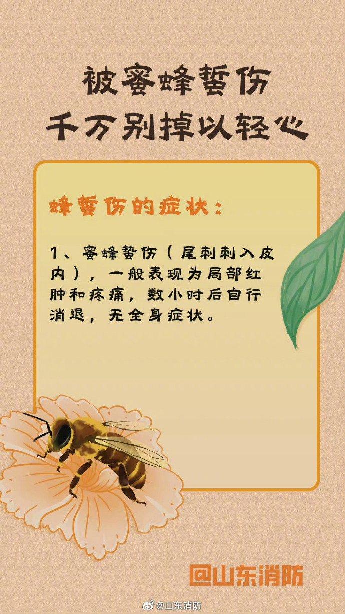 女童被蜜蜂蛰伤致死，悲剧背后的警示与反思