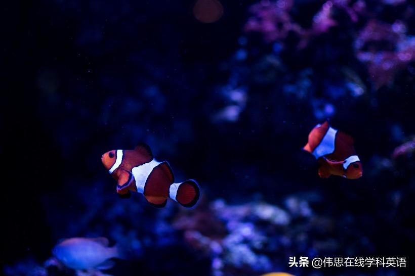 全球11亿女性更年期，挑战与机遇并存