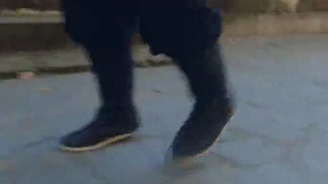 疯狗闯进家里行凶，小伙拿板凳反击