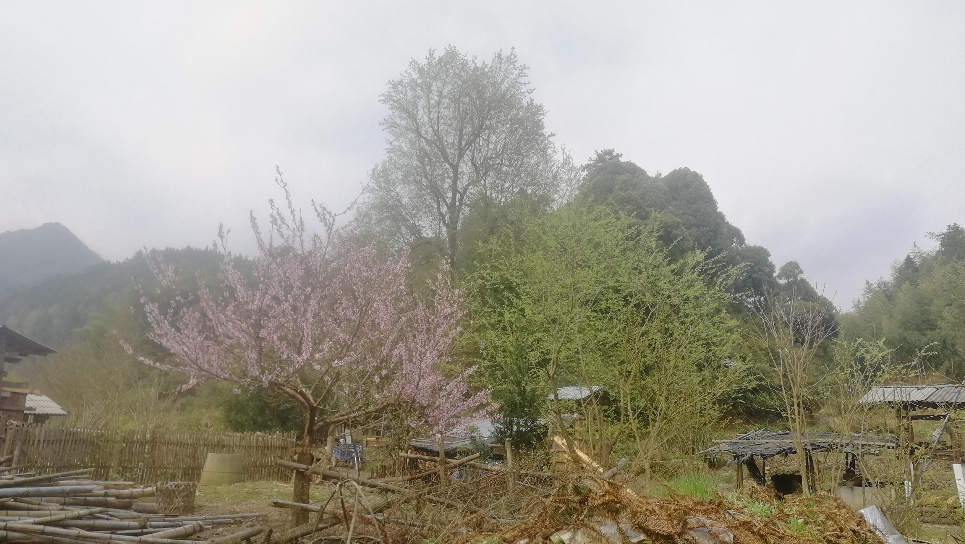 福建九岁男孩走失事件，寻找与关注的力量