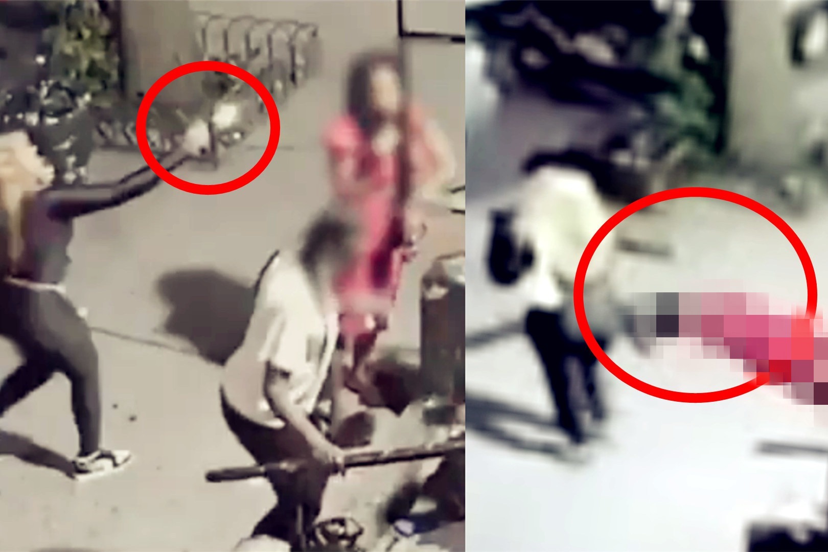 美国女子趁男友熟睡之际开枪爆头视频，深度解析事件背后的复杂因素