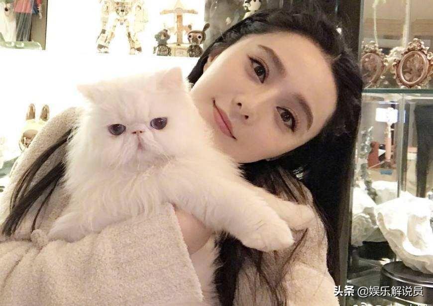 拆卡直播间批量倒闭的原因深度解析