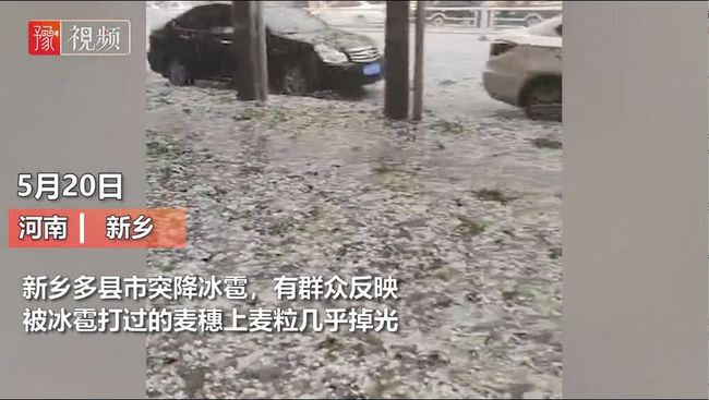 河南新乡冰雹对小麦影响分析