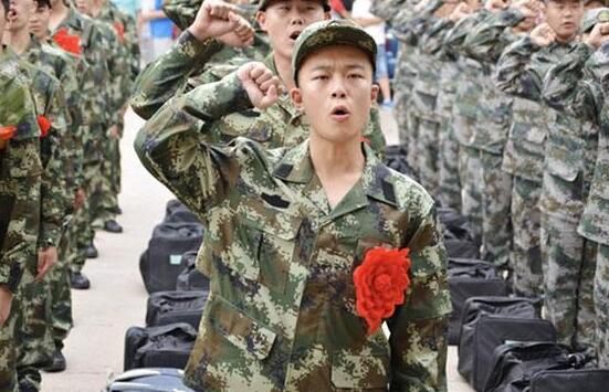 男子拒服兵役被处理，法律与道德的双重审视