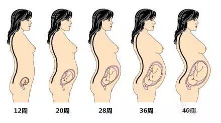 皮肤能拉伸多长才算正常？一篇文章带你了解人体皮肤的奥秘