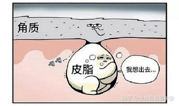 皮肤能拉伸多长才算正常？一篇文章带你了解人体皮肤的奥秘