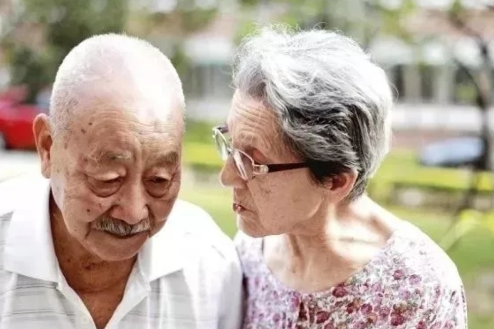 震惊！83岁老太杀子事件背后的真相与挑战
