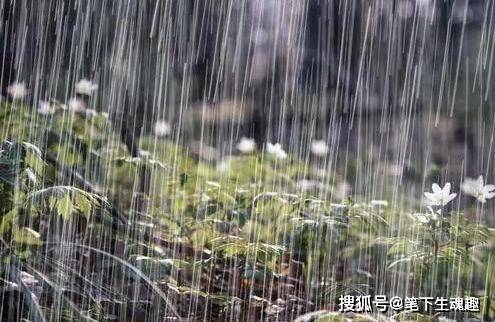 南方雨水天气的独特魅力与挑战