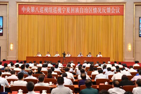 中央巡视组进驻后，童亚辉主动投案的背后