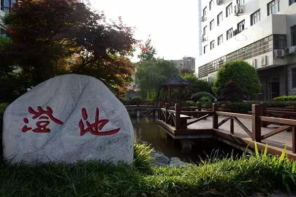 长沙金丝楠木博物馆火灾事件深度解析
