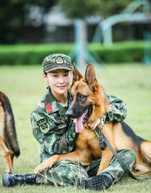 女童被狗扑咬受伤事件深度解析