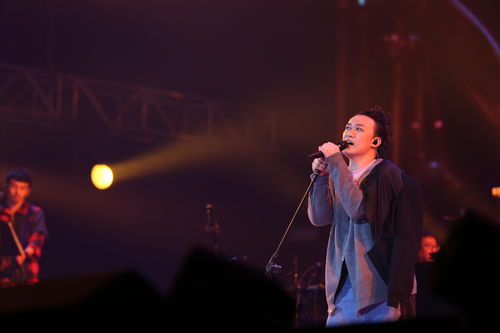 陈奕迅演唱会，一场音乐的盛宴