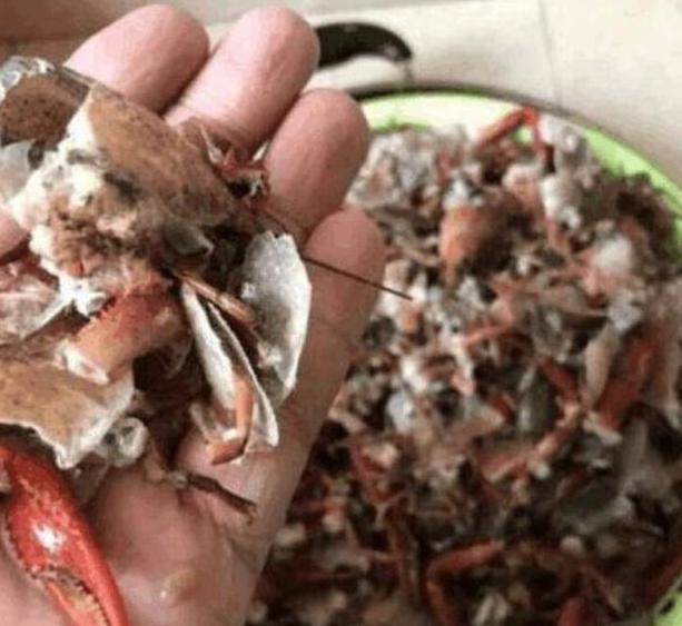 女子吃生腌小龙虾，吸虾头惊呆网友——美食界的独特风采