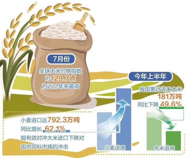 面临严重粮食不安全人口超2.95亿的挑战