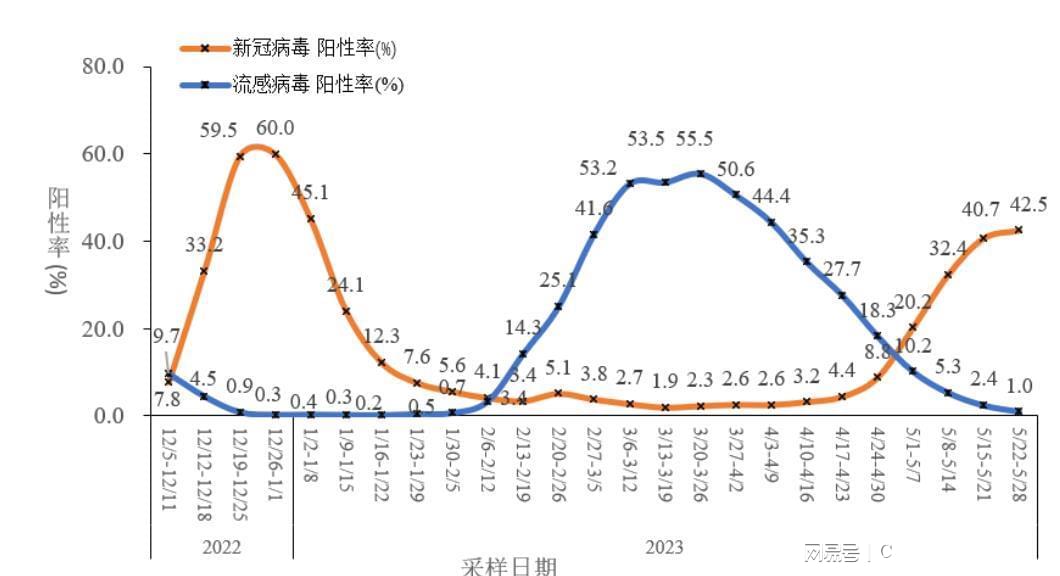 新冠检测阳性率最高的现象深度解析