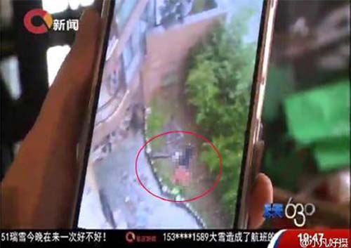 女子坠楼真相，探寻背后的故事与原因