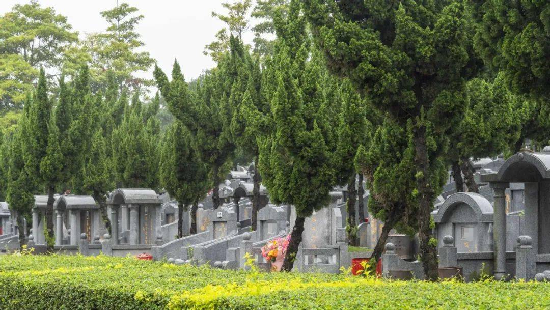 袁隆平夫人墓园祭扫图片，缅怀与致敬