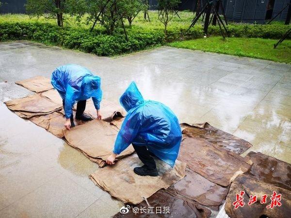 武汉暴雨黄色预警，应对与防范的紧迫性