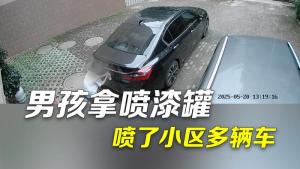 小孩用自喷漆将小区多辆车车牌喷黑，背后的反思与启示