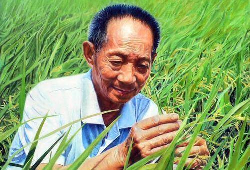 袁隆平与夫人的故事，一生一世的承诺与稻田的浪漫