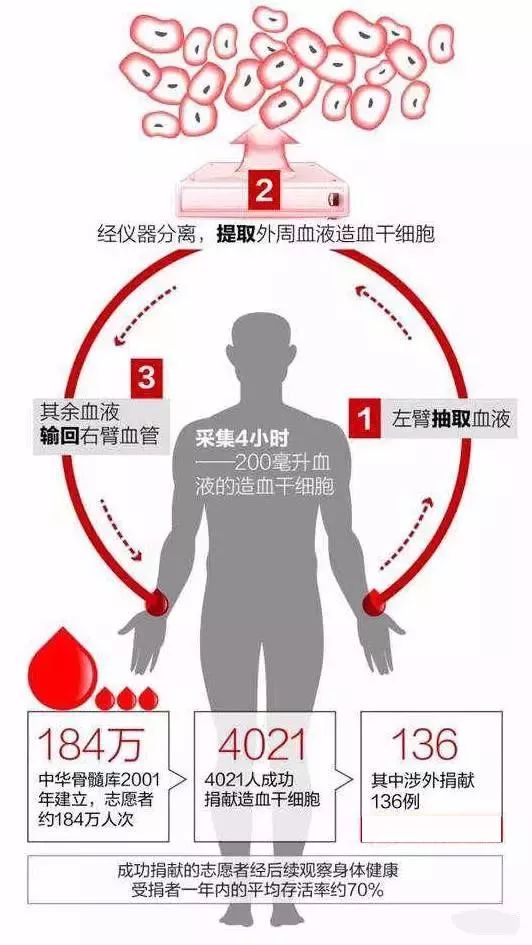 捐髓有什么危害？全面解析与理解