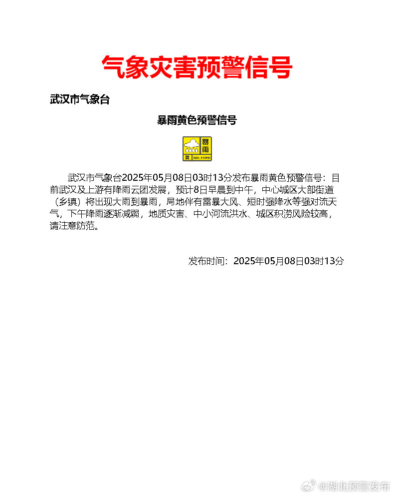 武汉暴雨警报，应对与反思