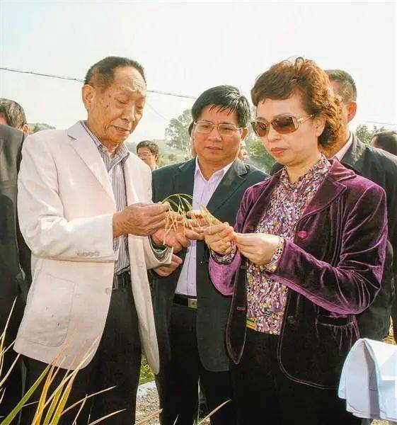 袁隆平与夫人合影，时光见证的金色情缘
