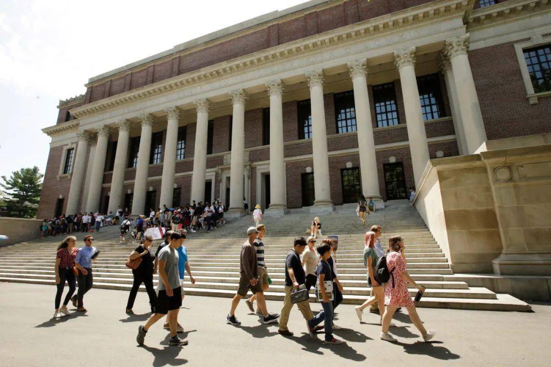 中国在哈佛留学的大学生数量解析