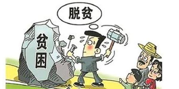 哈佛禁令来袭，在校学生视角解读