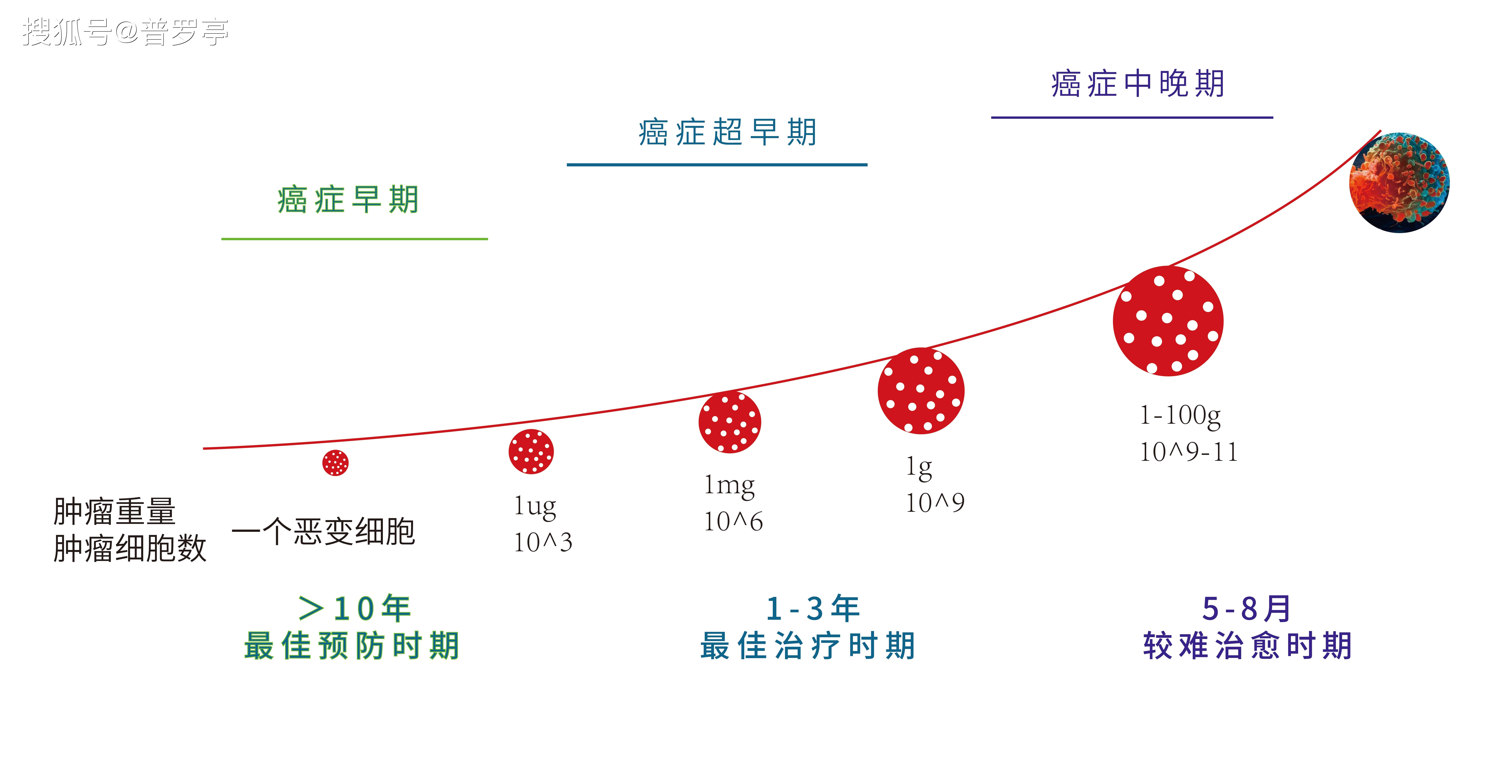 癌症患者经历的四个阶段