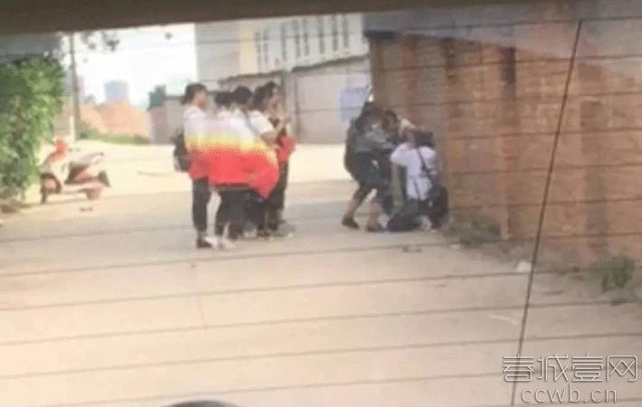 华人在澳州遭多名青少年殴打事件深度解析