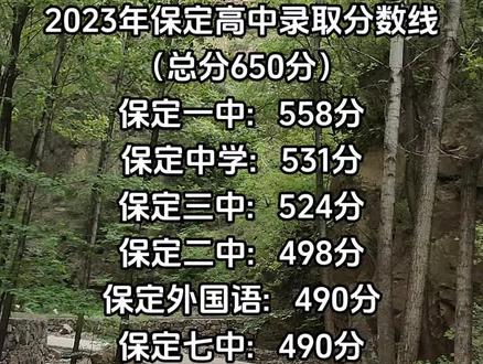 小升初保送分数揭秘，你需要知道的一切