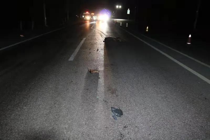 儿童碰路灯电桩身亡案例，警醒我们共同关注儿童安全