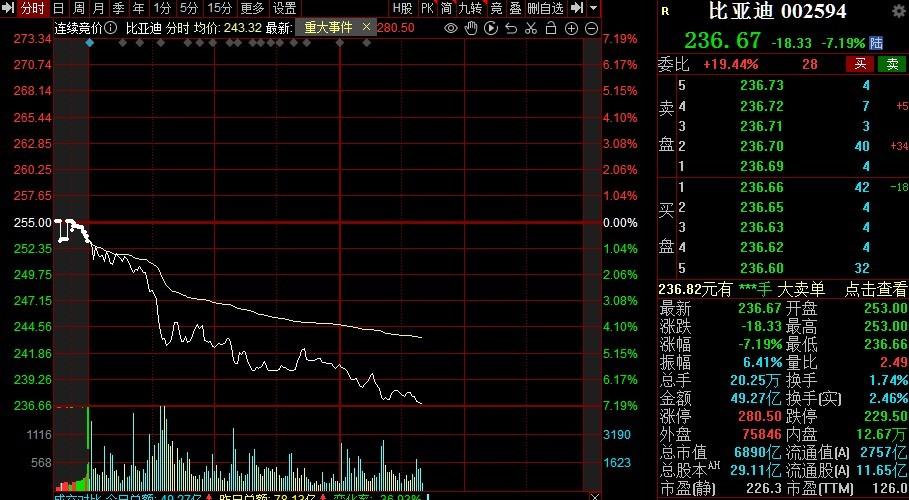 比亚迪股价跌超8%，市场波动背后的真相