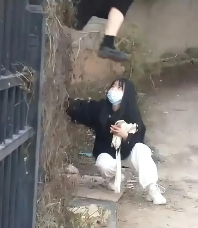 福建女子爬墙意外坠落事件深度解析