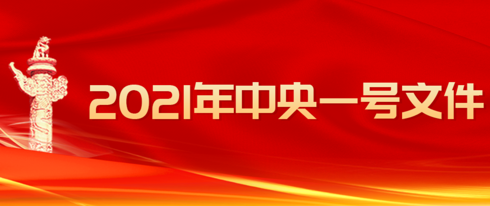 中央文件 2021，引领新时代的政策蓝图