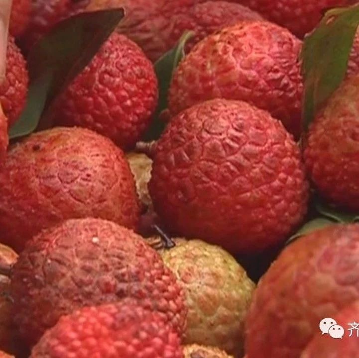 女子1天内吃10斤荔枝患上荔枝病，揭示荔枝的健康食用之道