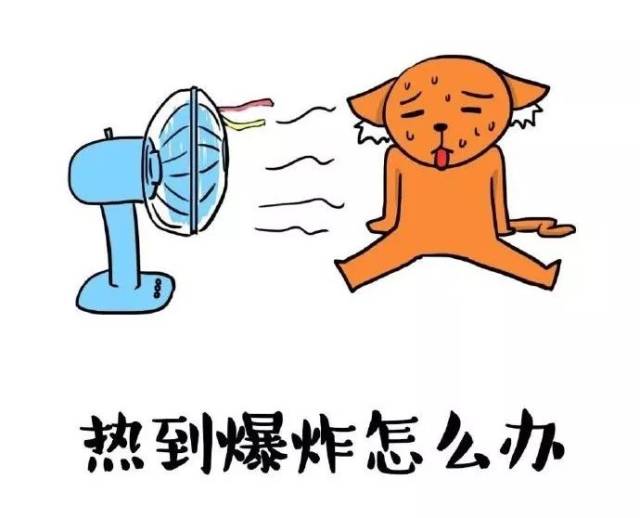 气温弹射起飞，炎炎夏日热浪滚滚来袭！