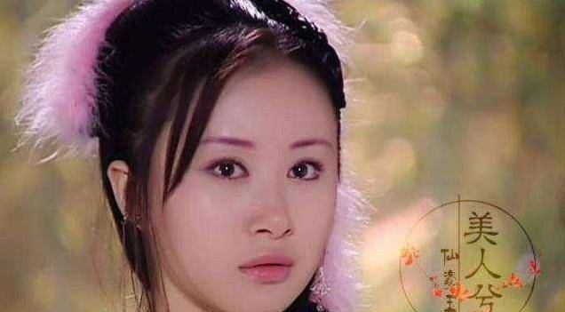 贾静雯身世揭秘，逆境中的坚韧与美丽
