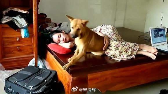 女子为四犬立遗嘱，人间温情与超越物种的爱