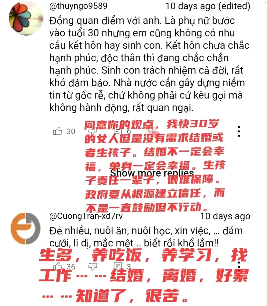 越南的计划生育政策与实践