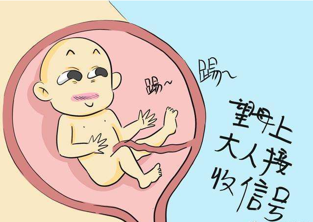孕妈习惯救宝宝一命，孕育新生命的守护之道