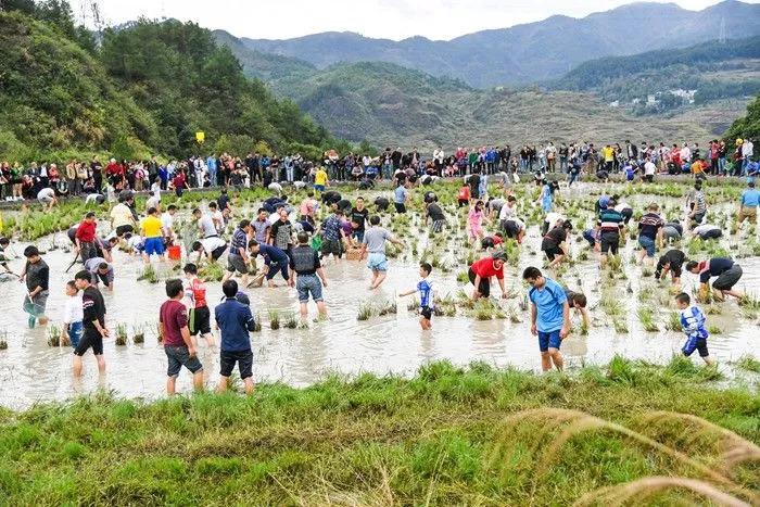 公园高薪招聘摸鱼官，月薪三万每天仅需工作两小时