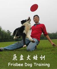 宠物类专业学校大盘点，哪些学校值得你关注？