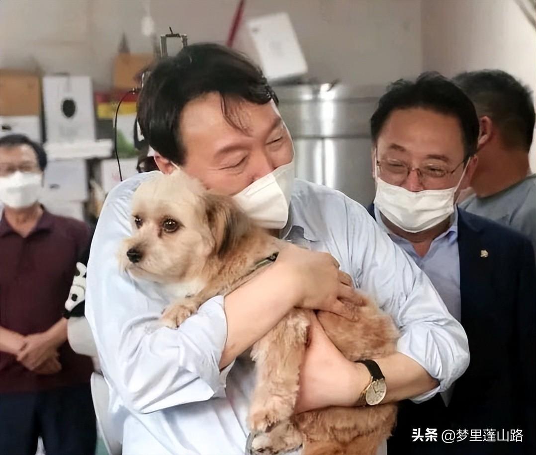 金建希坐轮椅出院，尹锡悦的暖心护送